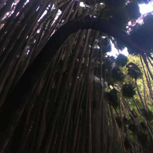 Atención médica de urgencia en Roma: Lugares disponibles para acudir sin demoras