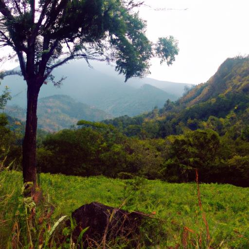 Novedades de ‘The Italian Bob’: Actor Secundario Bob sorprende con su opera en Roma