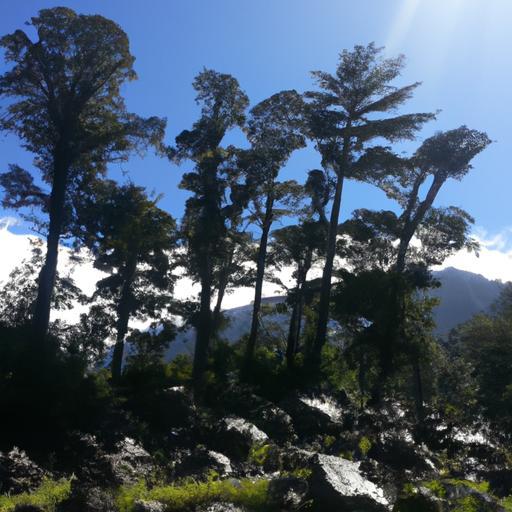 Descubre hospedajes económicos en Roma ¡Ideal para 60 personas!